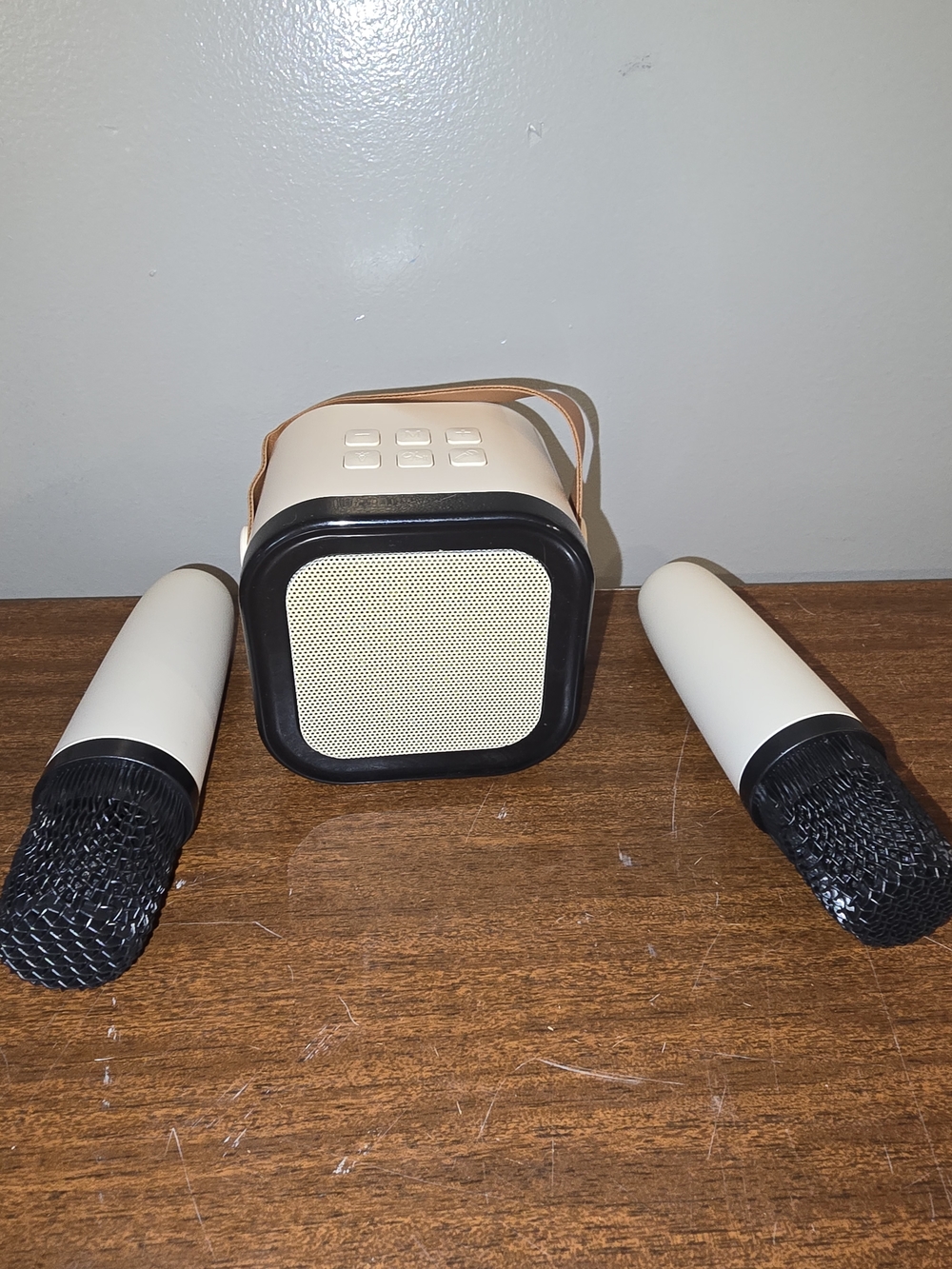 Bluetooth Karaoke Machine Portable  Speaker System with 2 Wireless Mics